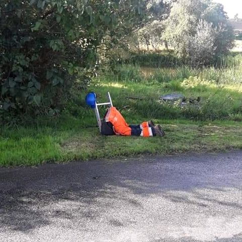 den gale videnskabsmand