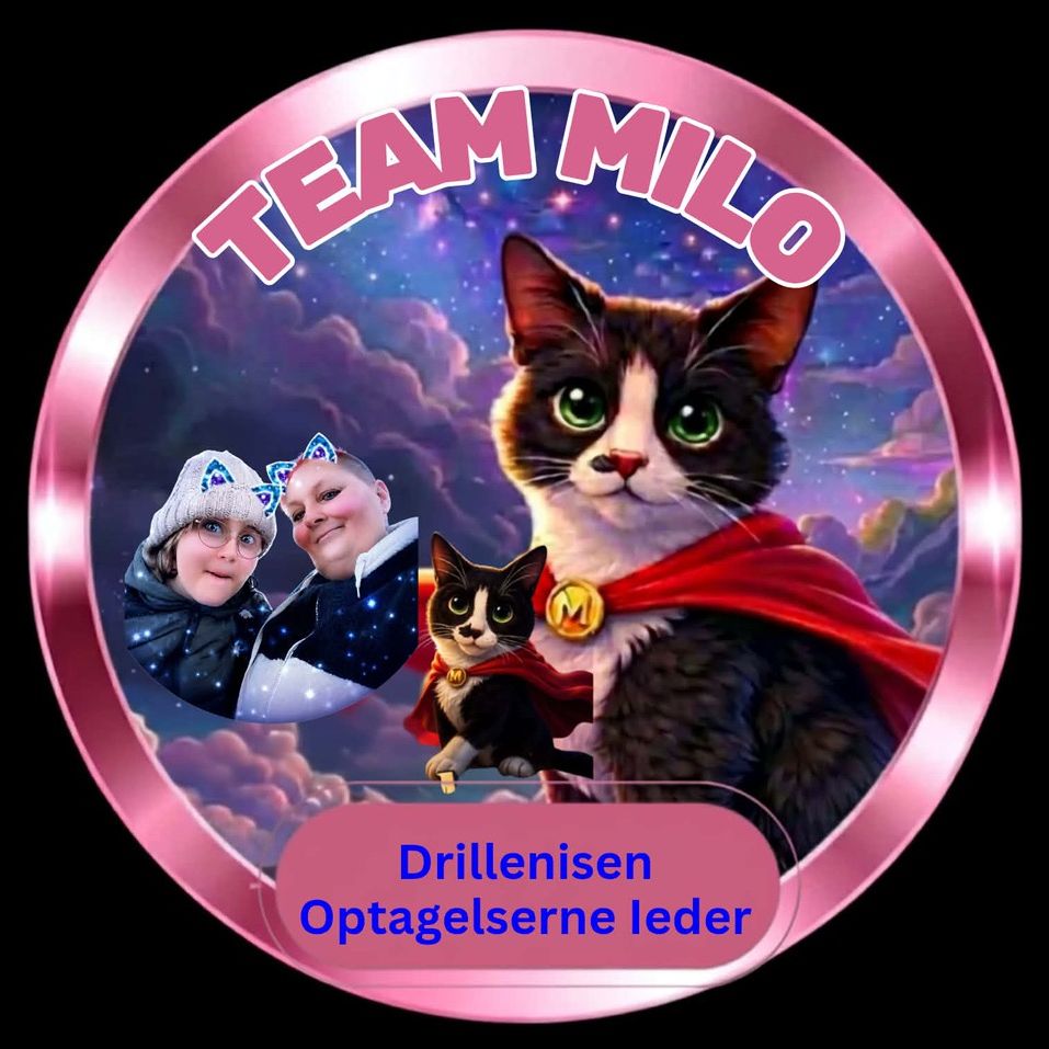 🐈 opt leder i team Milo 🐈🐕