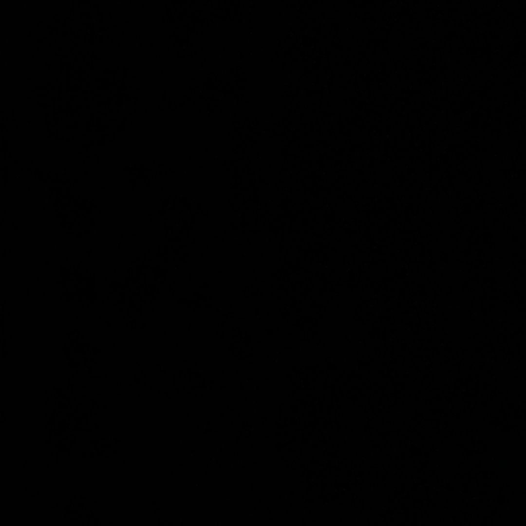 Udlendinge.diaries