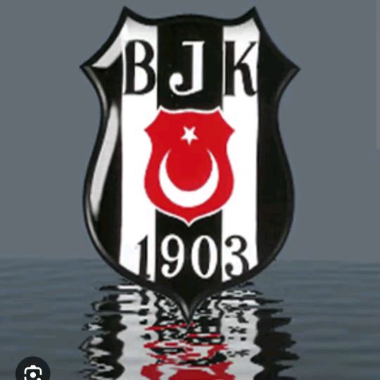 Martı 🇹🇷🇩🇰©️