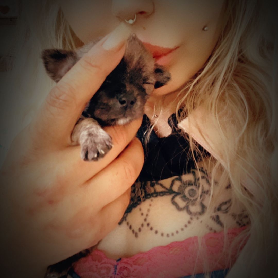 Grytte